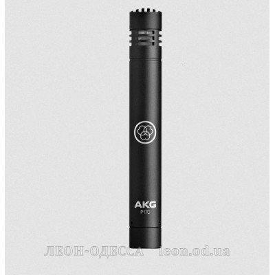 Микрофон AKG P170 (3101H00410)