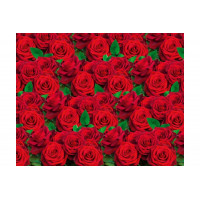 Упаковочная Бумага (5 листов) "Розы красные" (70*100 см)