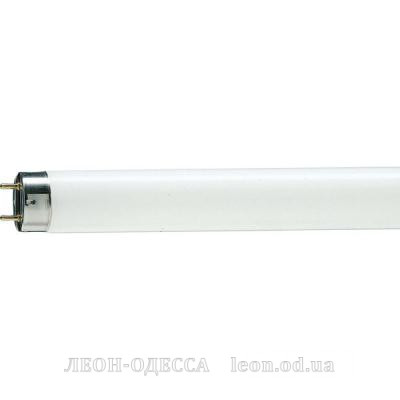 Лампочка Philips TL-D G13 600mm 18W/33-640 1SL/25 (928048003351)