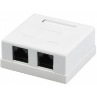 Розетка сетевая RJ45x2 UTP, 8P8C, cat.5e Ritar (00200)